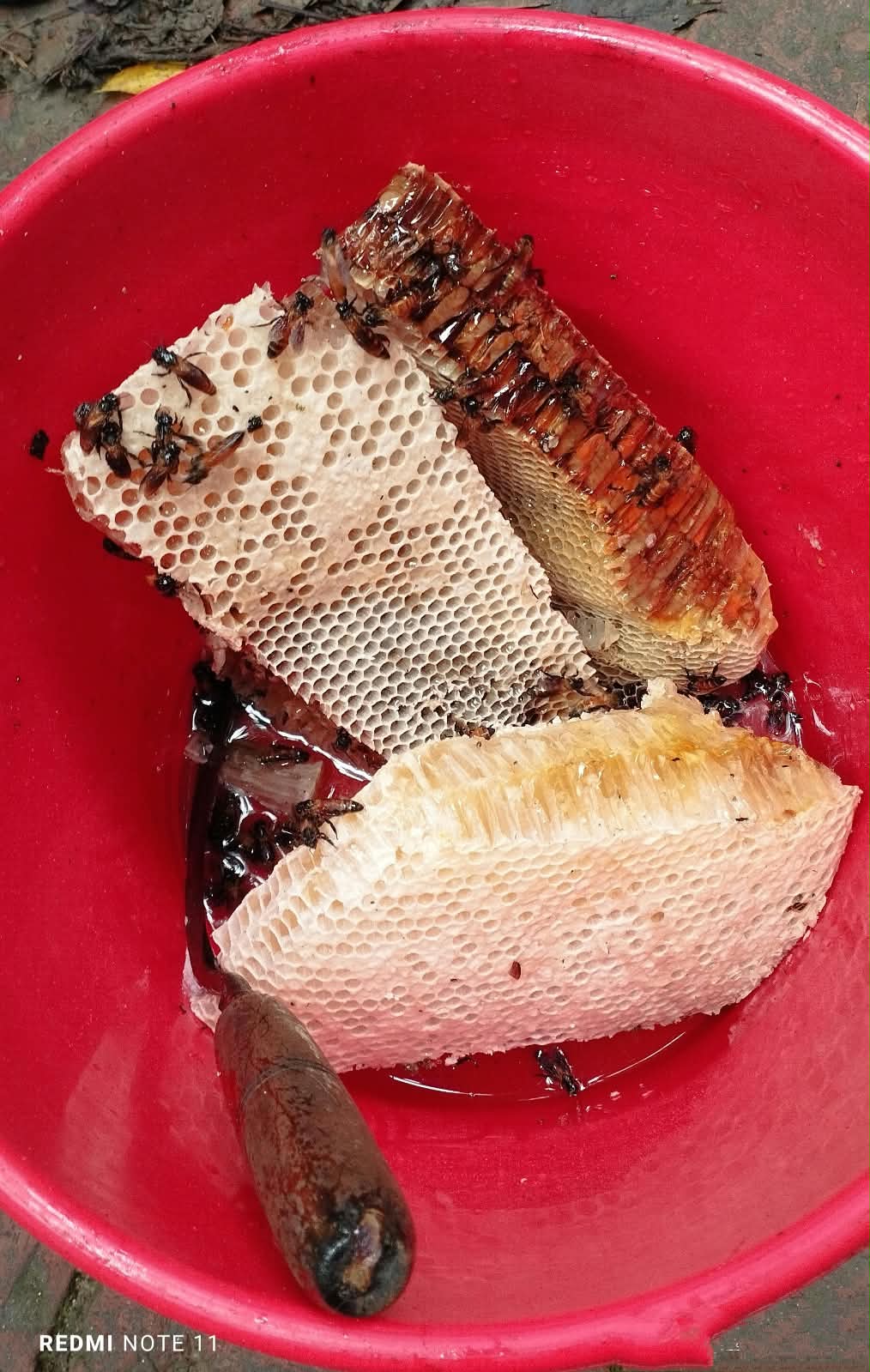 গ্রাম অঞ্চলের চাকের মধু (১কেজি)